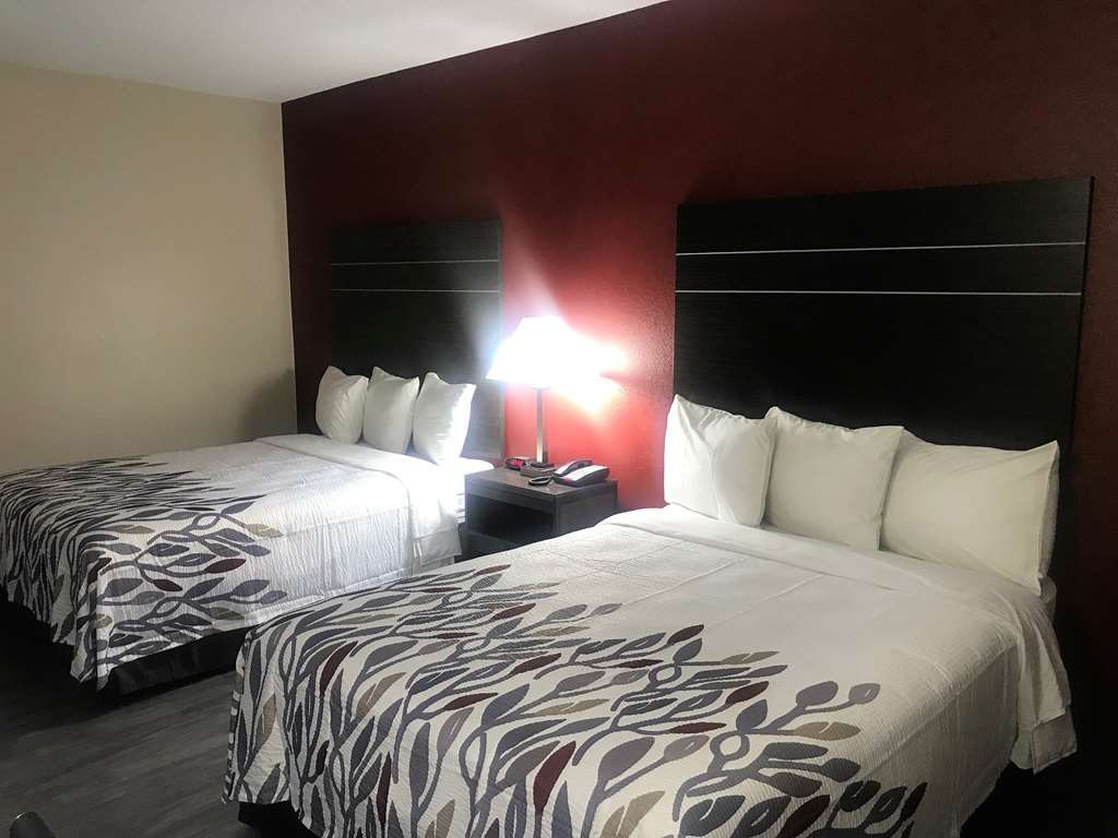 Red Roof Inn & Suites Austin East - Manor Værelse billede
