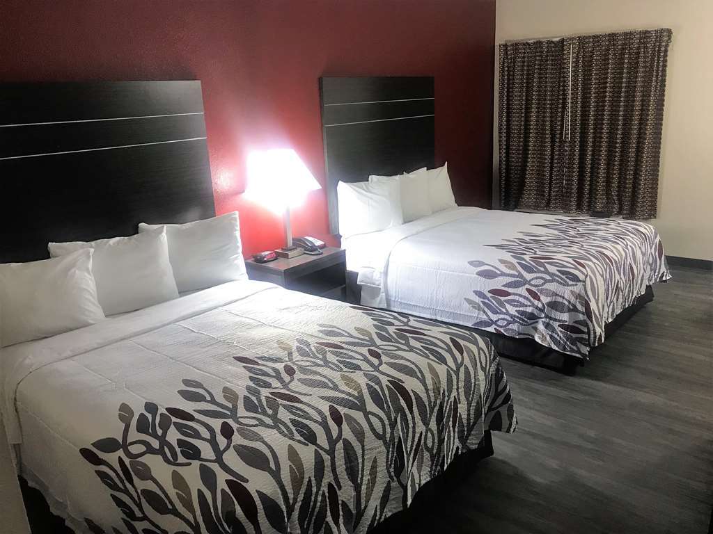 Red Roof Inn & Suites Austin East - Manor Værelse billede